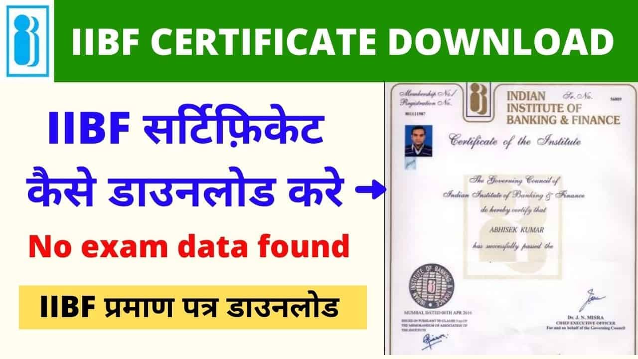 IIBF Certificate Download Process No Exam data Found IIBF Exam Certificate Download